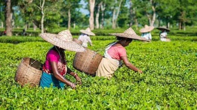 শ্রম কল্যাণ কেন্দ্র, ঘোড়াশাল, পলাশ, নরসিংদী