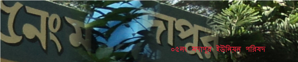 মদাপুর ইউনিয়ন পরিষদ