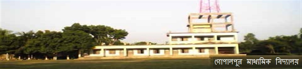 গোপালপুর মাধ্যমিক বিদ্যালয় ,কালুখালী, রাজবাড়ী ।