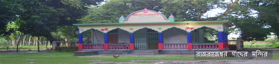 রাজ-রাজেশ্বর মন্দির, মদাপুর