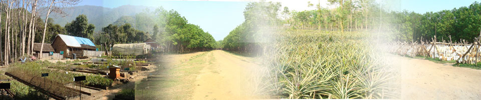 মধুপুর উপজেলা