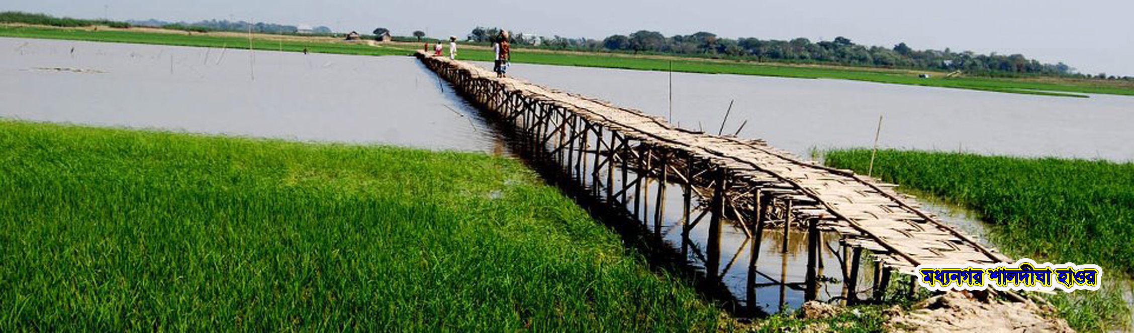 শালদীঘার হাওর