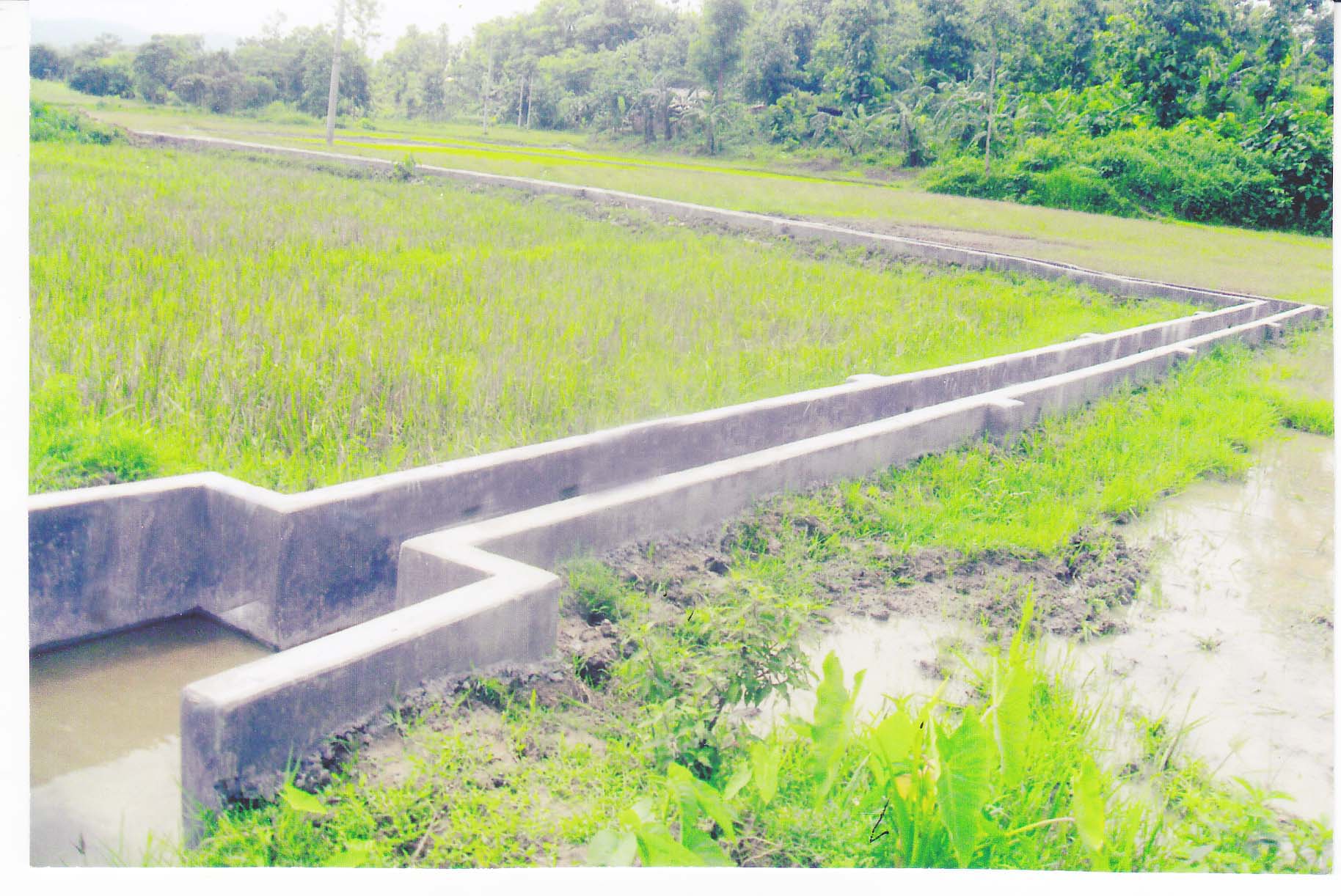 রাবেতা মডেল কলেজের বিভিন্ন অনুষ্ঠানের ছবি