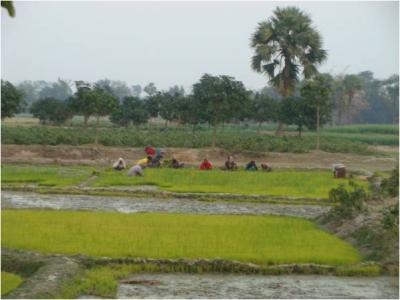 ভূমি সংক্রান্ত কার্যক্রম