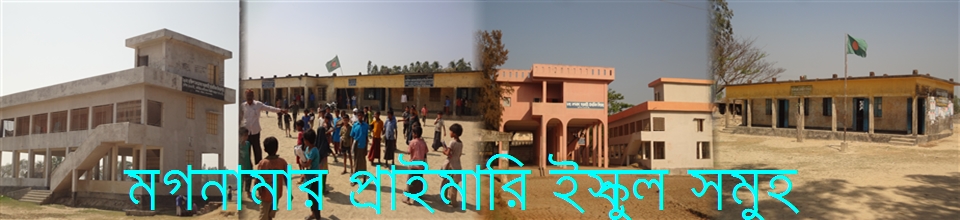 মগনামার প্রাইমারি ইস্কুল সমুহ