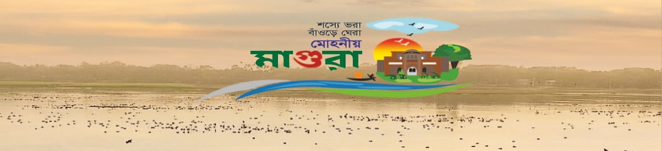 জেলা ব্র্যান্ডিং
