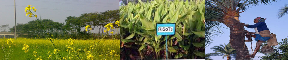 মাগুরার ঐতিহ্য