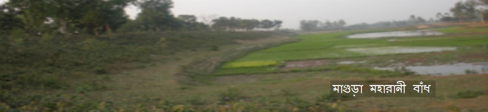 মহারানী বাঁধ