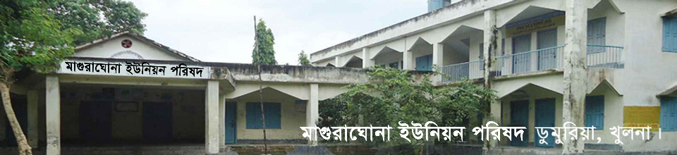 আরশনগর গ্রামের সৌন্দর্যের দৃশ্য