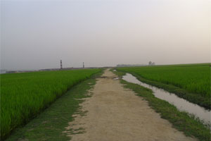 প্রকৌশল