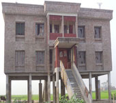 ফটো গ্যালারী