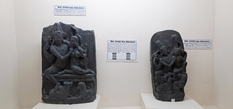 ময়নামতি জাদুঘর ডিসপ্লে