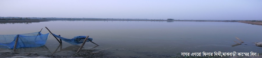 সাগর এগরো ফিসারী এন্ড দিঘী, মাঝবাড়ী কাস্মের বিল।