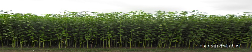 গ্রাম বাংলার ঐতয্য বাহী পাট