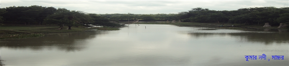 কুমার নদী