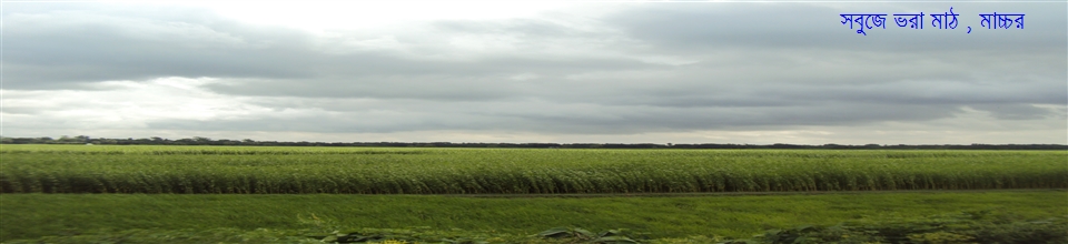 সবুজে ভরা বাংলা