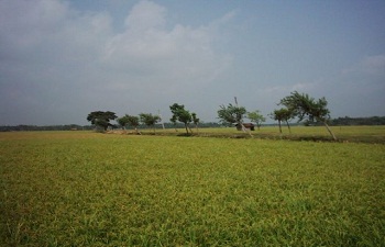 ফটো গ্যালারী