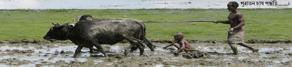 পুরাতন চাষ পদ্ধতি