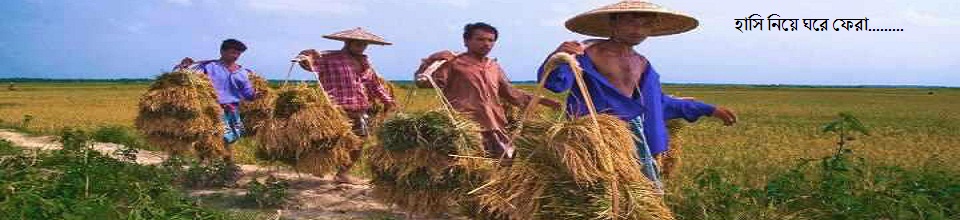 হাসি নিয়ে ঘরে ফেরা