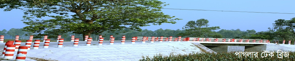 পাগলার টেক ব্রিজ, বারবলদিয়া