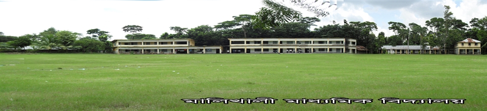 মালিখালী মাধ্যমিক বিদ্যালয়