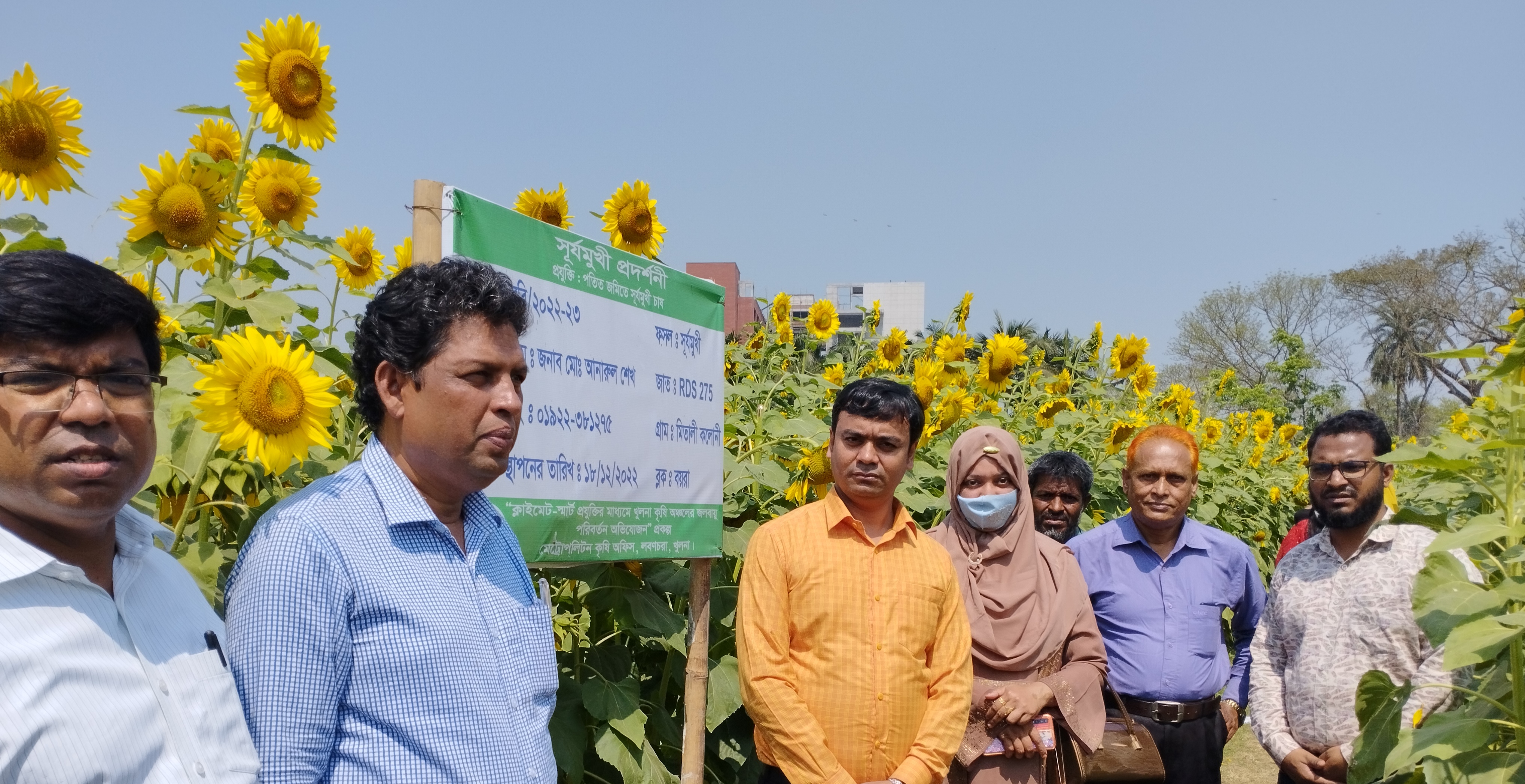 সূর্যমুখী