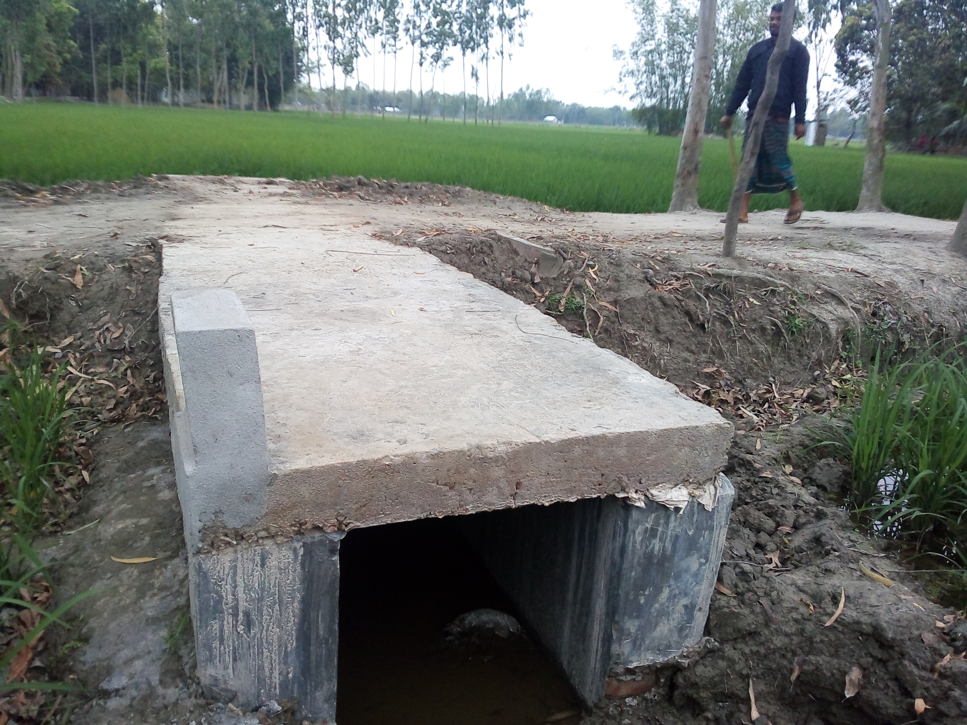 ৬নং মাড়েয়া বামনহাট ইউনিয়ন পরিষদ