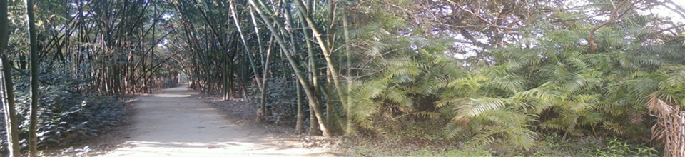 মাথিউরা