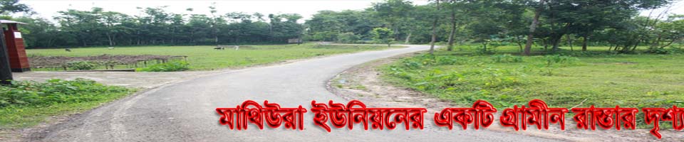 মাথিউরা ইউনিয়নের একটি গ্রামীন রাস্তার দৃশ্য