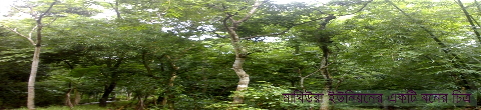মাথিউরা ইউনিয়নের একটি বন্য চিত্র
