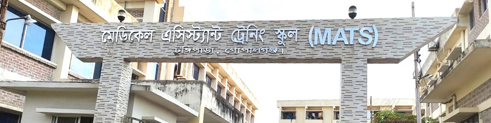 মূল গেট