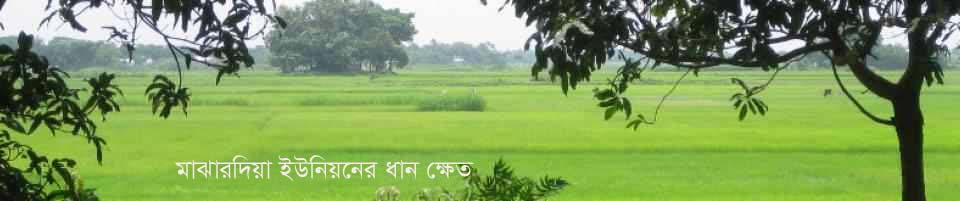 মাঝারদিয়া ইউনিয়ন