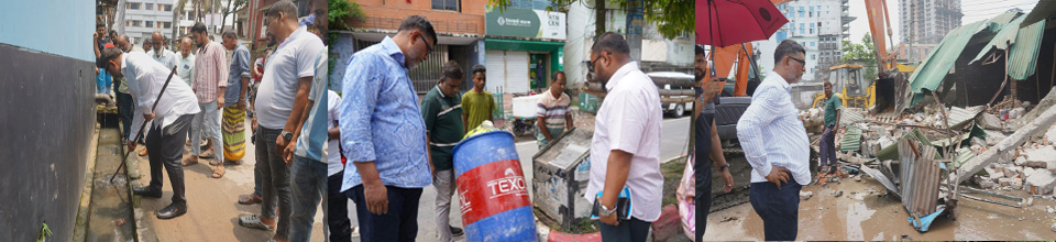 পরিদর্শন