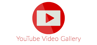 ভিডিও রাখা ও দেখার স্থান