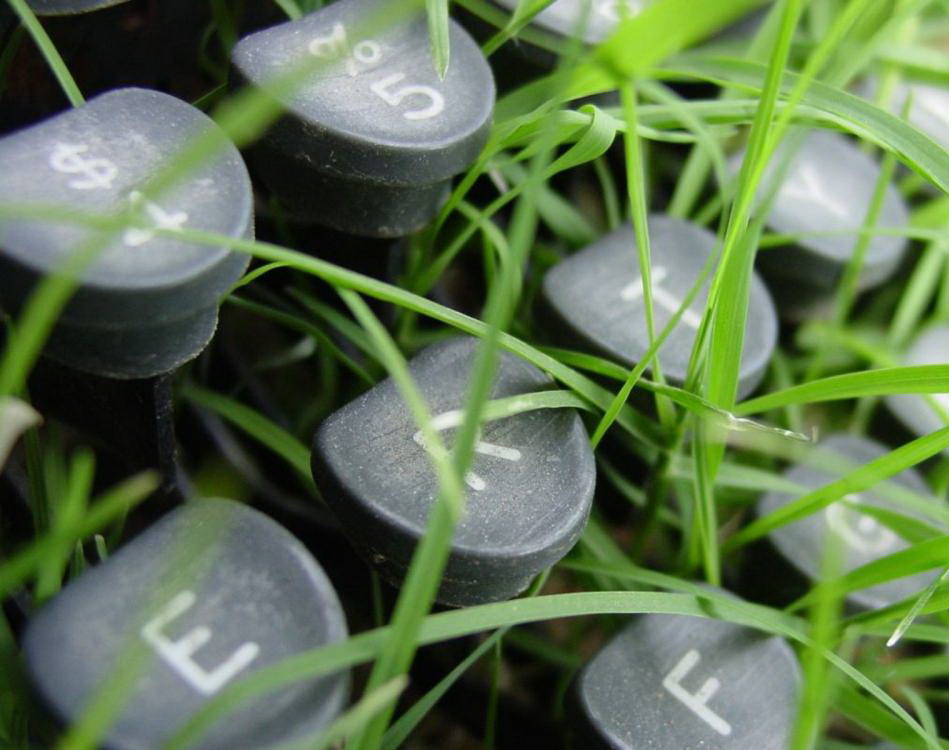 বাড়িতে অপ্রধান শস্য চাষ পদ্ধতি (ভিডিও)।