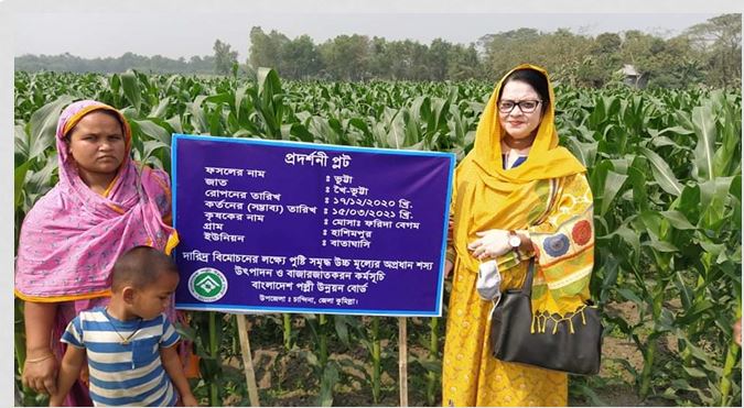 ভূট্টা প্রদর্শনী প্লট।