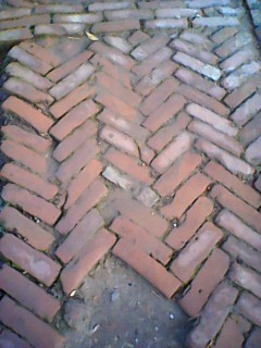 ফটেআগ্রালারী