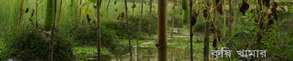 কৃষি খামার