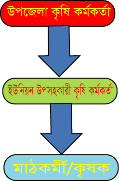 ইউনিয়ন কৃষি অফিস