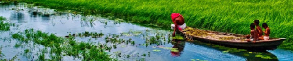 বাংলাদেশ