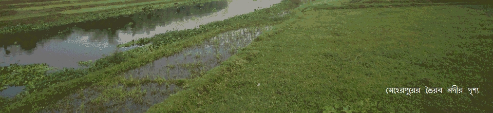 মেহেরপুরের সদর উপজেলার ভৈরব নদীর দৃশ্য