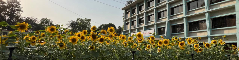 উপজেলা নির্বাহী অফিসারের কার্যালয়, মেহেরপুর সদর