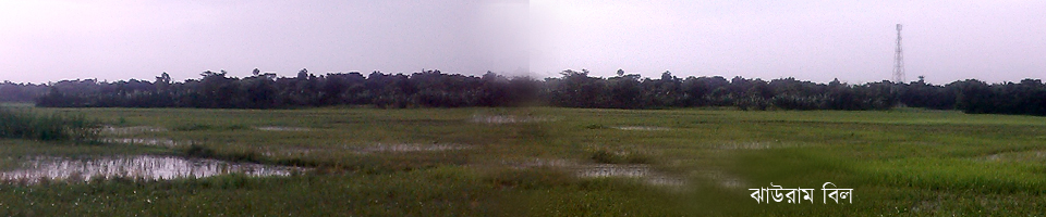 ১৩নং মেষ্টা ইউনিয়ন