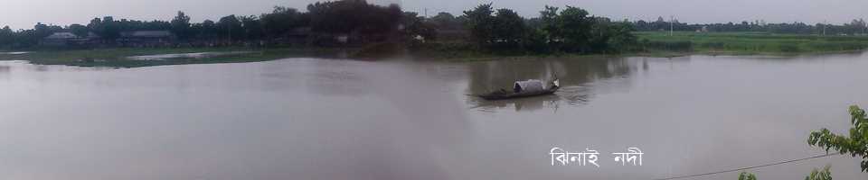 ব্যানার