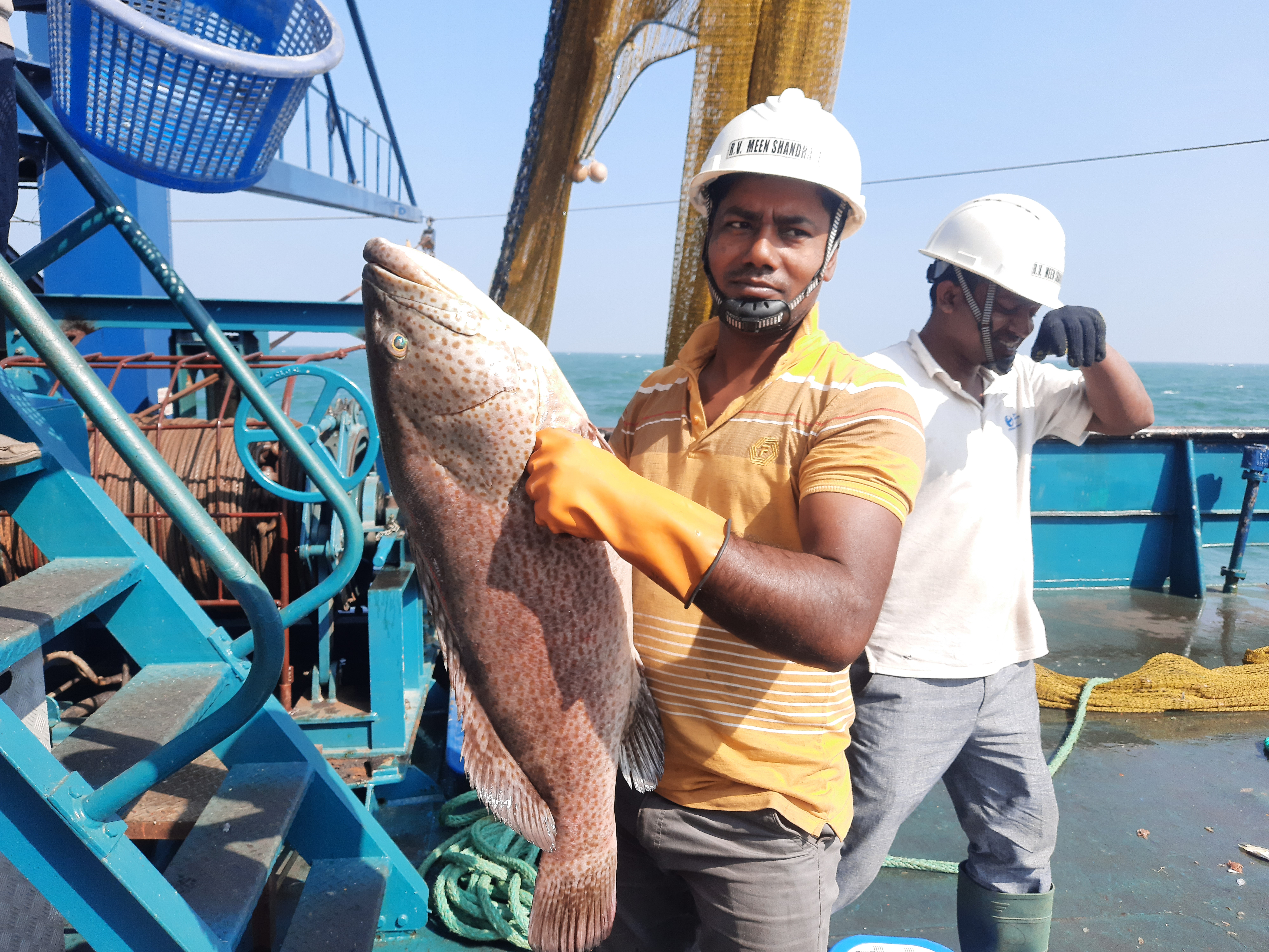 জরিপ কার্যক্রম