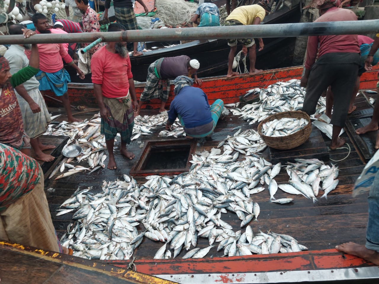 আর্টিস্যানাল ফিশারিজের অবতরণ