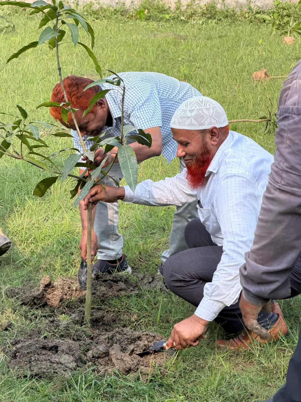 বৃক্ষরোপণ কর্মসূচীর আওতায় কোম্পানীর আবাসিক এলাকায় বৃক্ষরোপণ করছেন ব্যবস্থাপনা পরিচালক মহোদয় এবং অন্যান্য কর্মকর্তা/কর্মচারীবৃন্দ