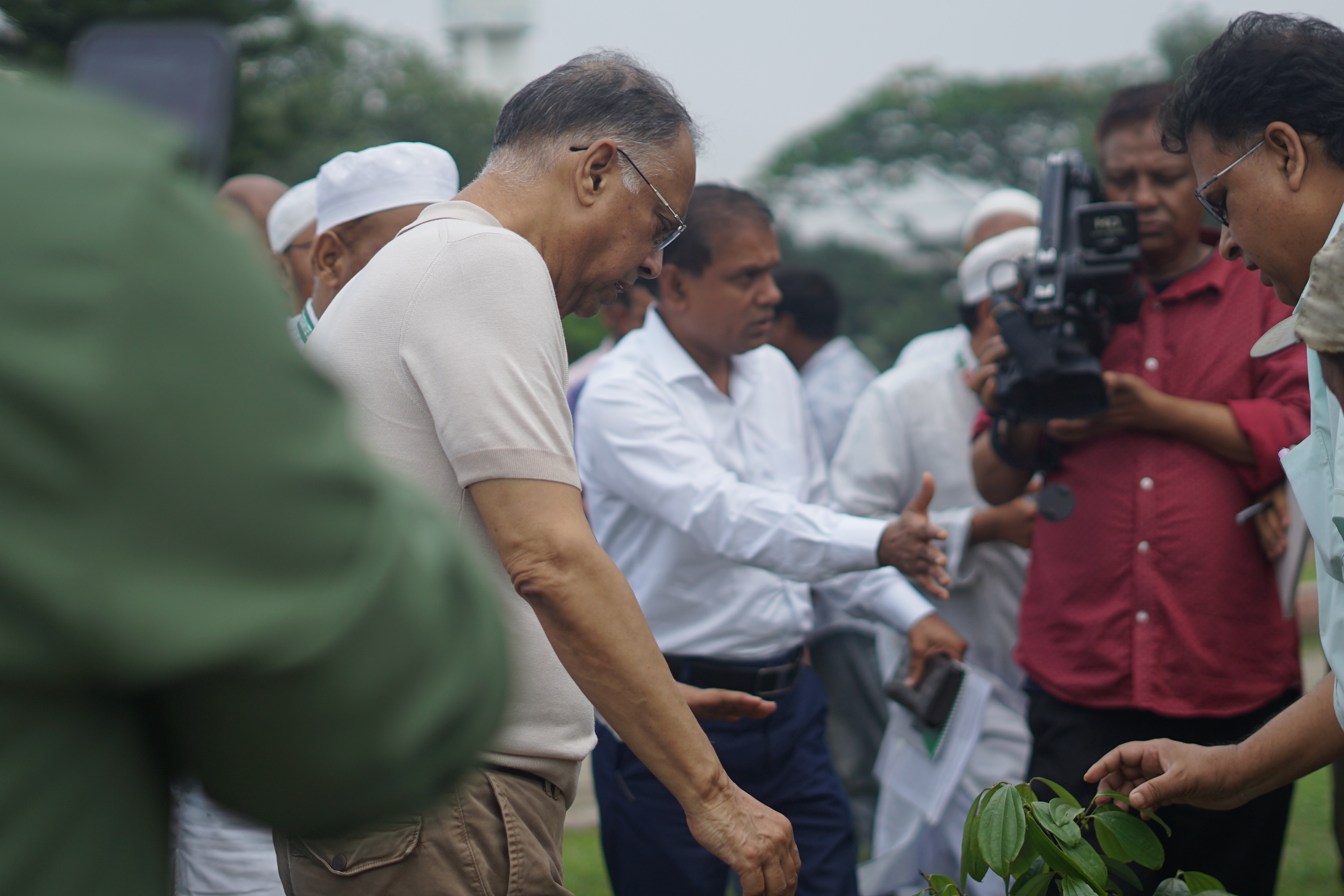 বিদ্যুৎ, জ্বালানি ও খনিজ সম্পদ মন্ত্রণালয়ের মাননীয় মন্ত্রী ইকবাল হাসান মাহমুদ এমজিএমসিএল এর চত্তরে বৃক্ষ রোপণ করেণ