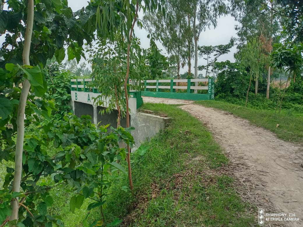 নামঃ হাইড্রোলিক স্ট্রাকচার স্কীম, উপজেলাঃ মিঠাপুকুর, ইউনিয়নঃ মিলনপুর, জানকিপুর হতে নুরপুর যাওয়ার কাঁচা রাস্তায় খালের উপর কালভার্ট নির্মাণ