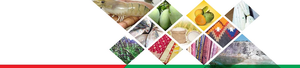 ভৌগোলিক নির্দেশক পণ্য